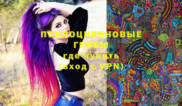 крисы Медногорск