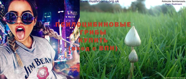 крисы Медногорск