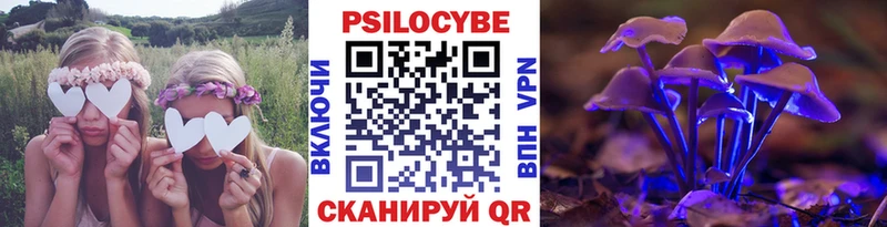 Псилоцибиновые грибы Psilocybe  shop клад  Оленегорск 